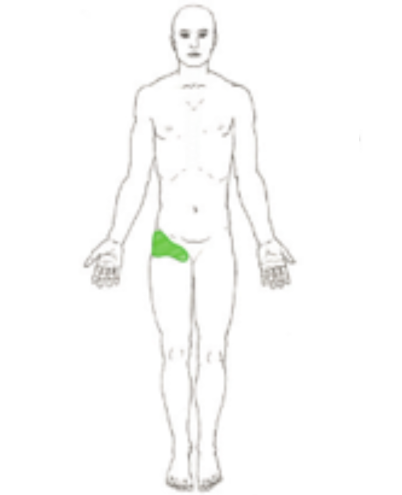 lumbar-media-branch-img-3.png